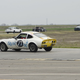 Illustration for article titled The 24 Hours Of LeMons Texas Gator-O-Rama Über Gallery: The Europeans